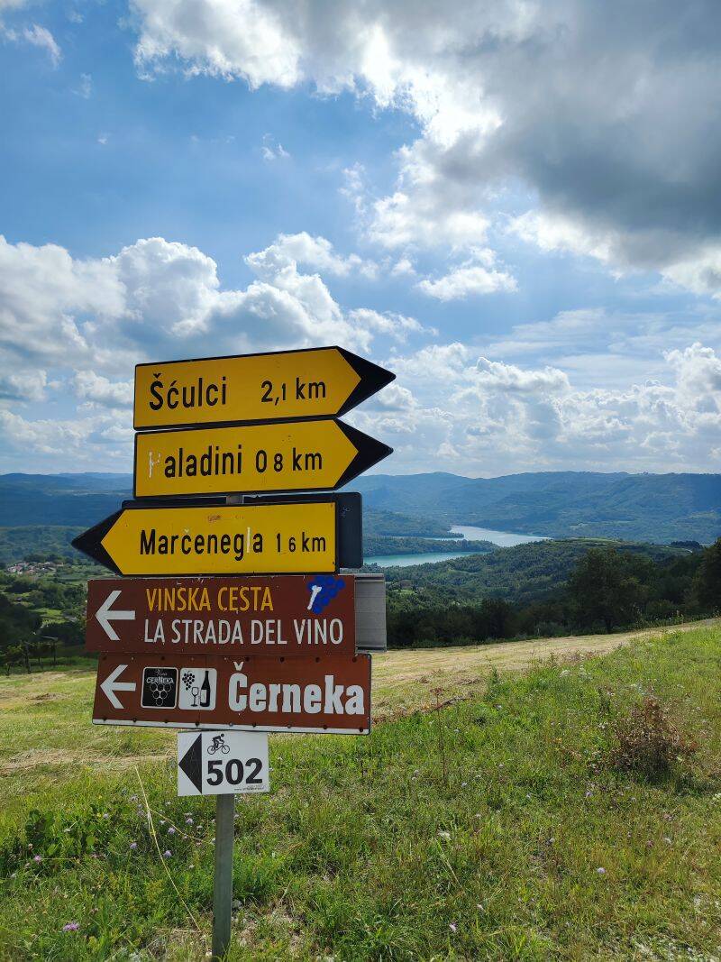 Vine Roads in Istria
