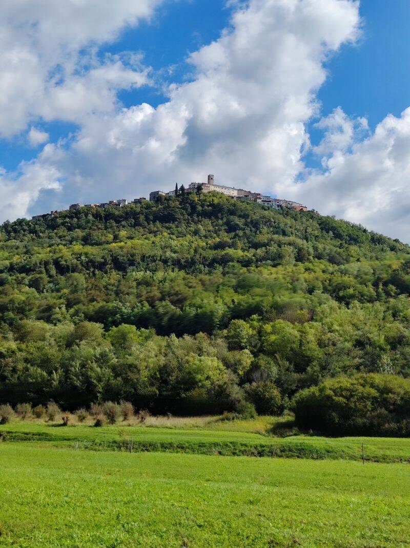 motovun