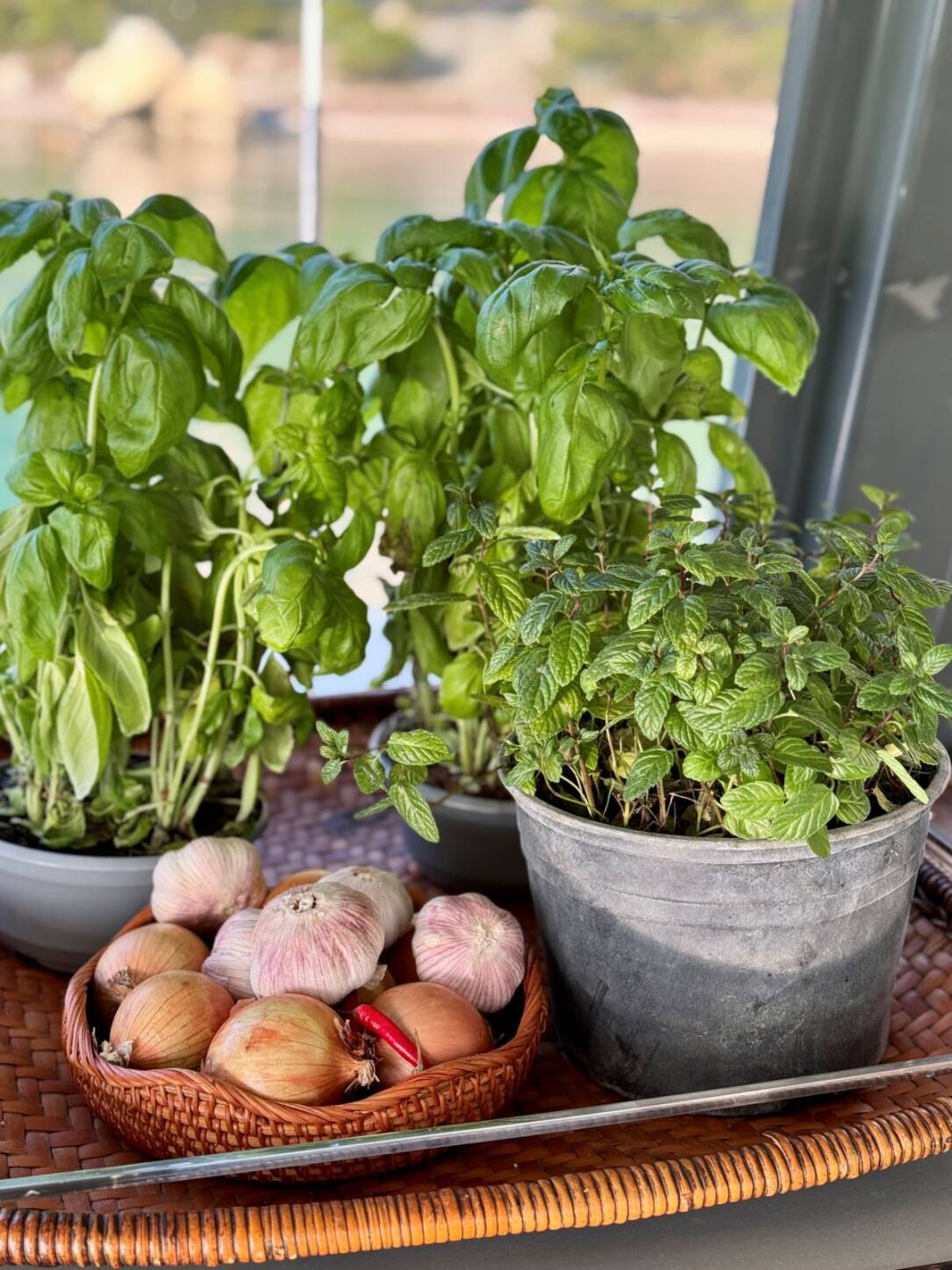 Leopard 45 Sisters catamaran galley