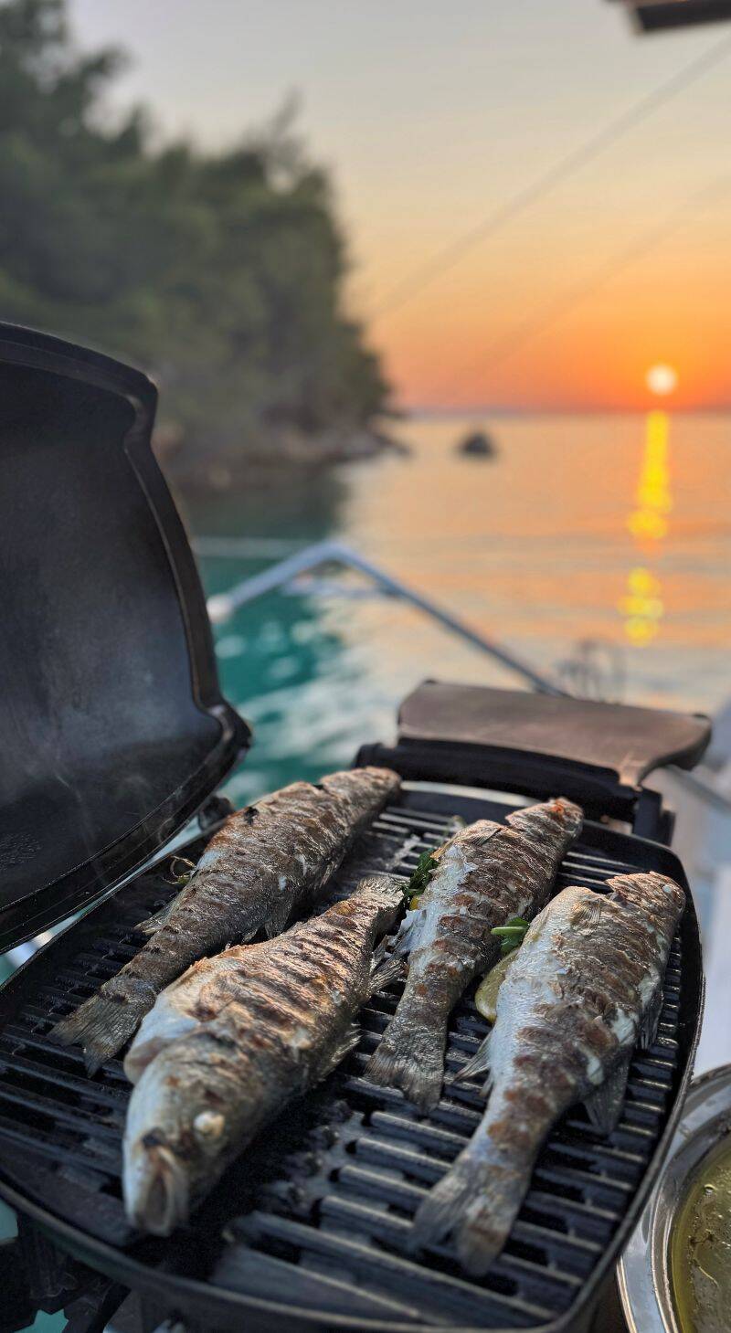 Leopard 45 Sisters catamaran cockpit BBQ